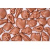 Fritures (125, 250 ou 500g)