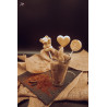 Sucette chocolat blanc