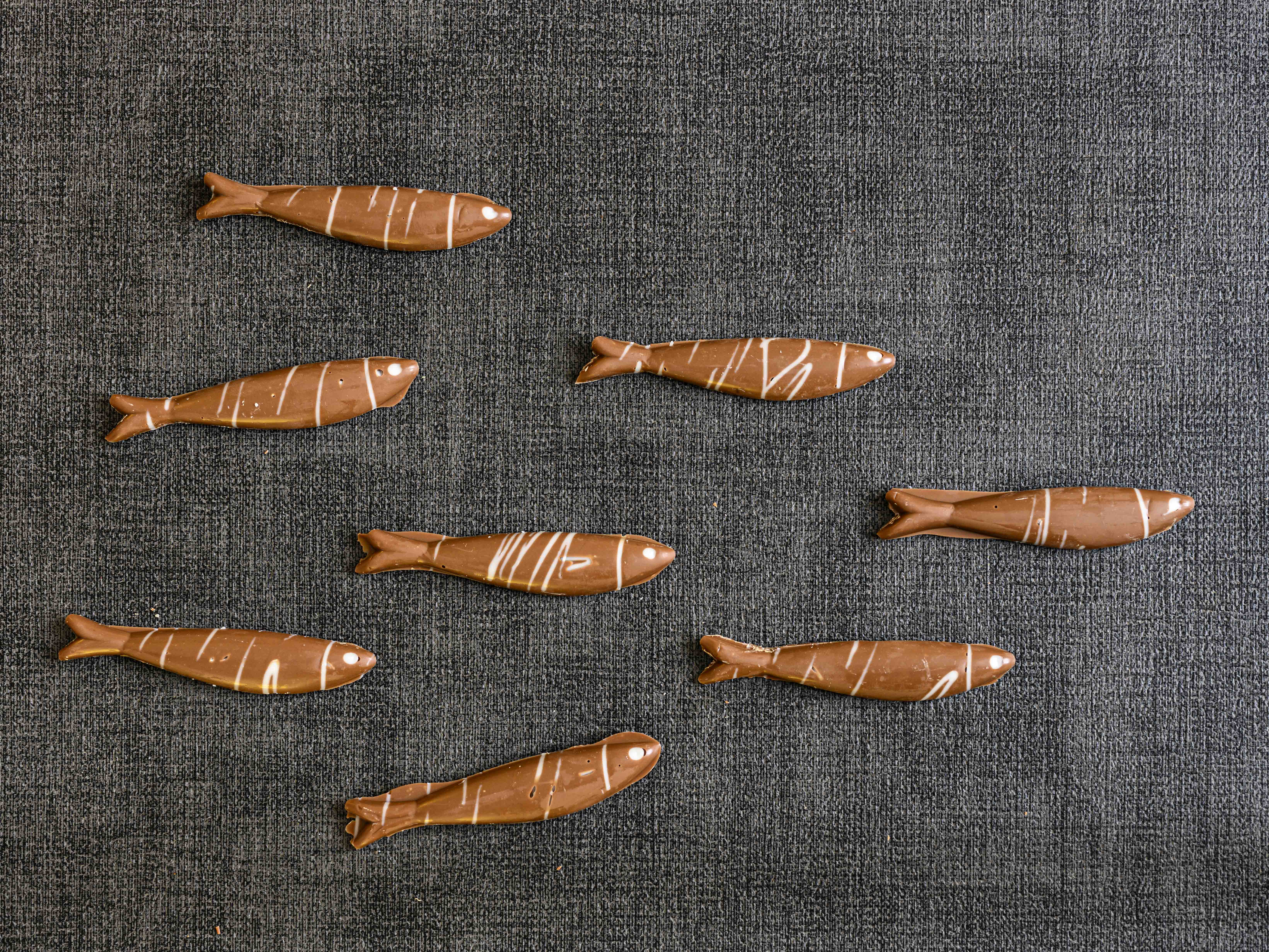 Sardines de Saint-malo