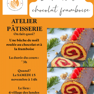 Cours buche roulée choco framboise